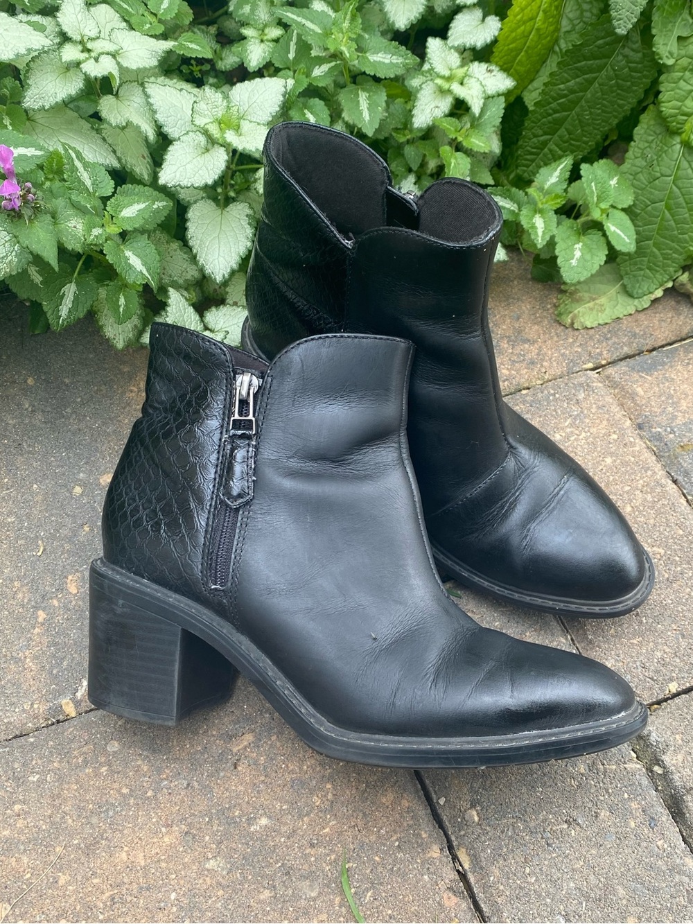 Collection by Clarks Black Leather Ankle Boots Sz 7.5 Summer Sale
